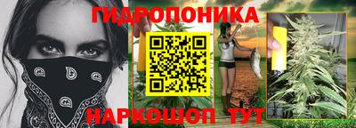 стаф Бийск