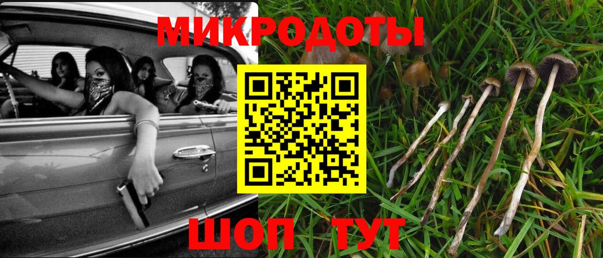 Ковров  Галлюциногенные грибы Psilocybe  Вход с VPN 